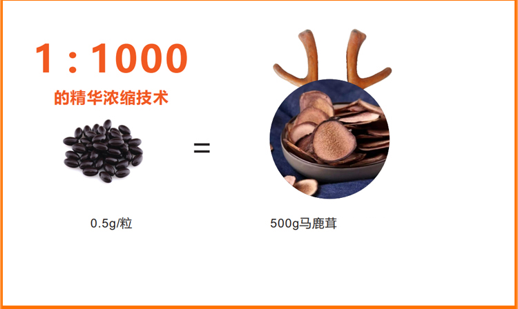 详情图片_32.jpg