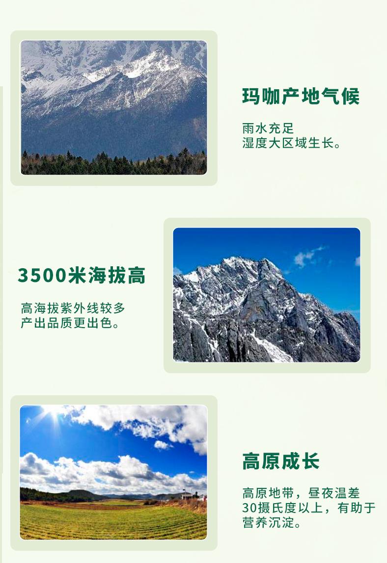 O1CN012sC8vF1cVagau1wTc_!!720543606.jpg
